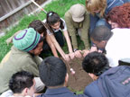 Treeplanting.jpg
